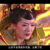 2021年第113期香港高清正版跑跑狗彩图